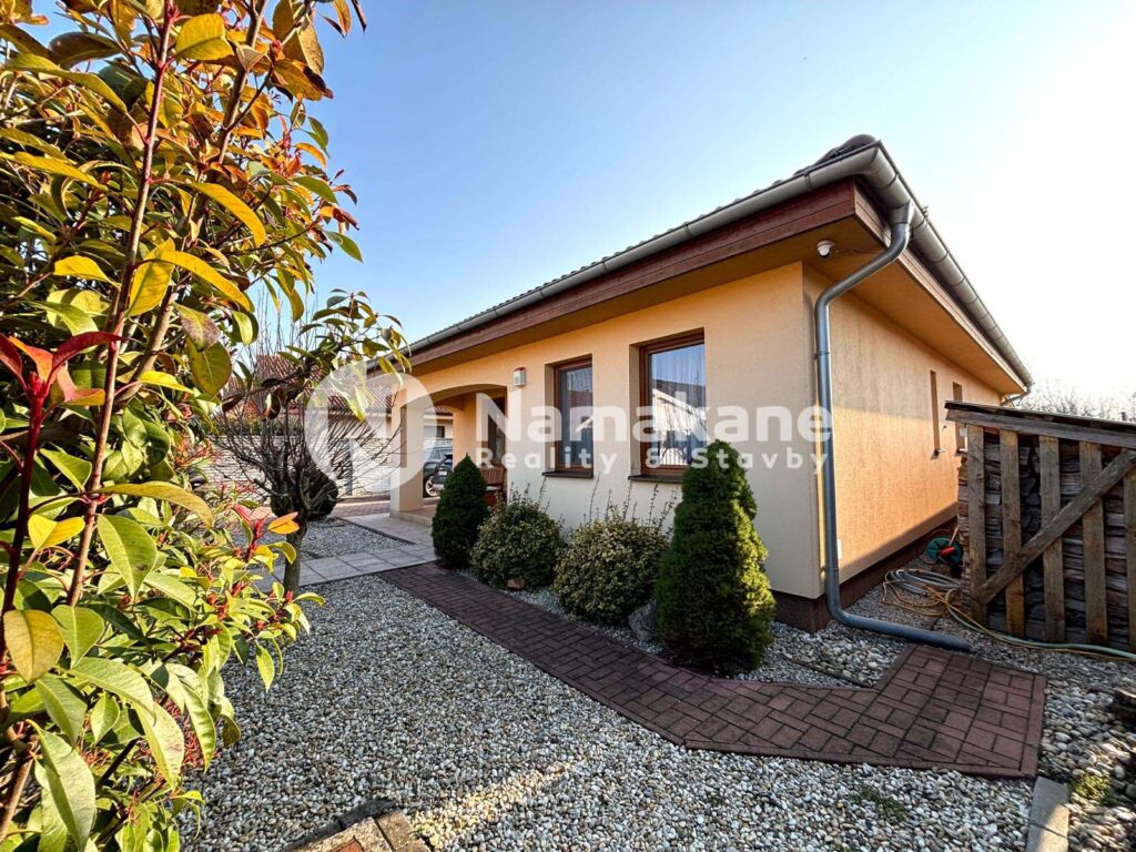 WhatsApp Image 2026-03-04 at 18.36.22